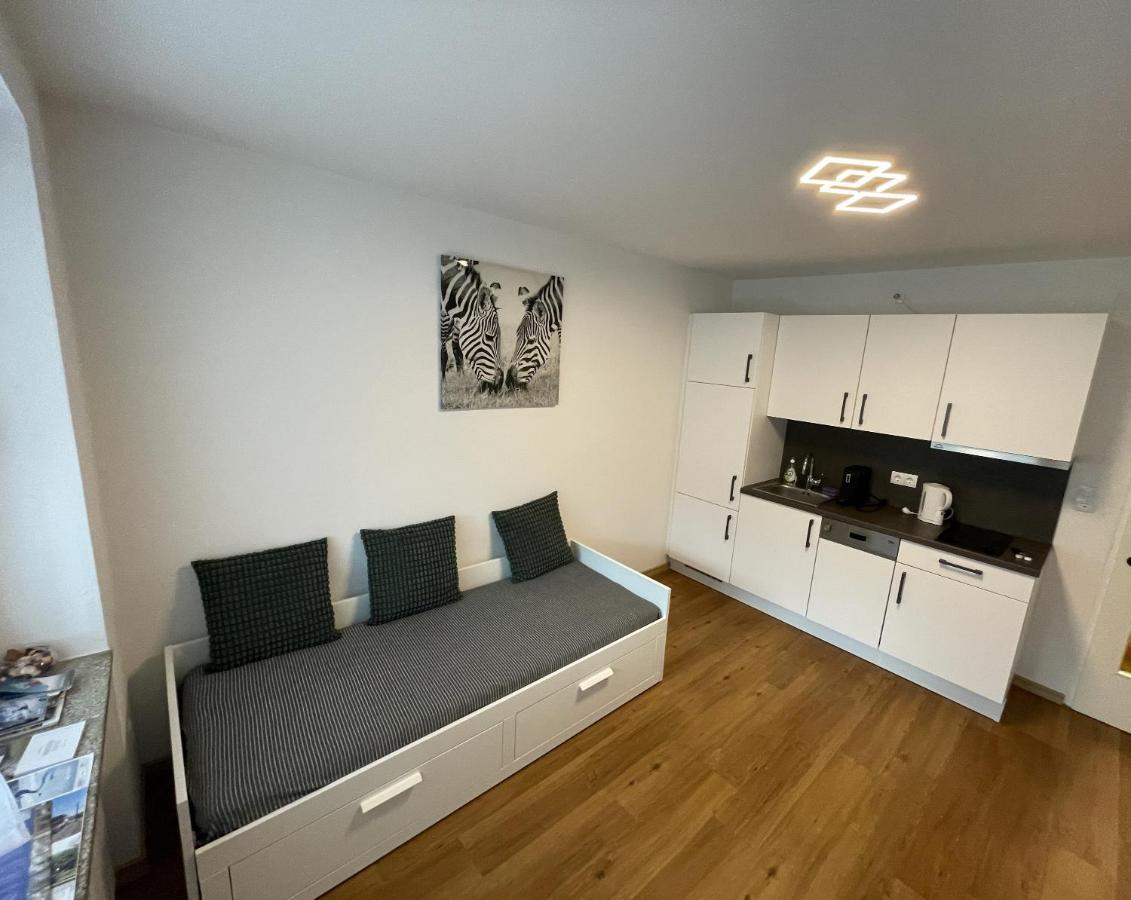 Vidaoro Studio Flat Zell am See Zewnętrze zdjęcie